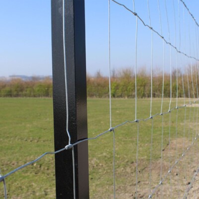Looking through the fencing into the field (entry gate in the background to the right)